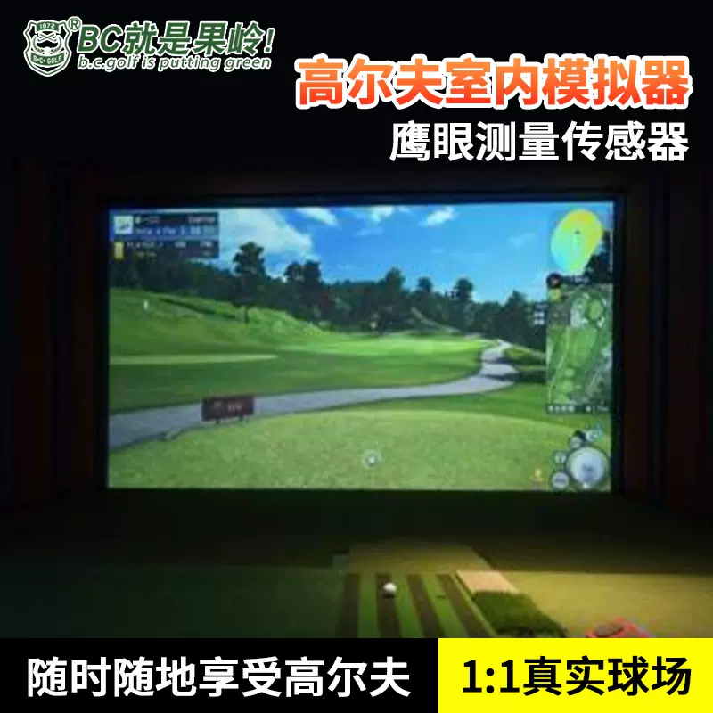 BCGOLF高尔夫挥杆打击垫方向打击垫3D导向打击垫模拟器练习场-Taobao