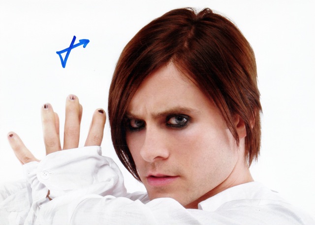 

Сувенирные фотокарточки JARED LETO 30 Seconds To Mars #1