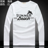 Весенний хлопковый лонгслив, хлопковая футболка, термобелье, одежда, 2020, круглый воротник, в корейском стиле