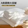 Товары от 卡蒂莎家纺旗舰店
