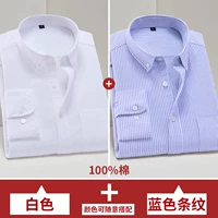 Белый синий лонгслив, 100% хлопок