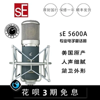 American SE Z5600A II /Gemini Live /Recording K Song Электронный трубопровод микрофон Новая лицензия