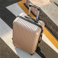 Цвет шампанского нового Hhe