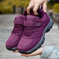 A6669 Женский фиолетовый [четыре сезона]