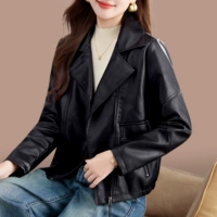 Черный [весна и осенняя панда]