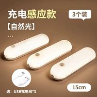 Индукционный, естественное освещение, 15см