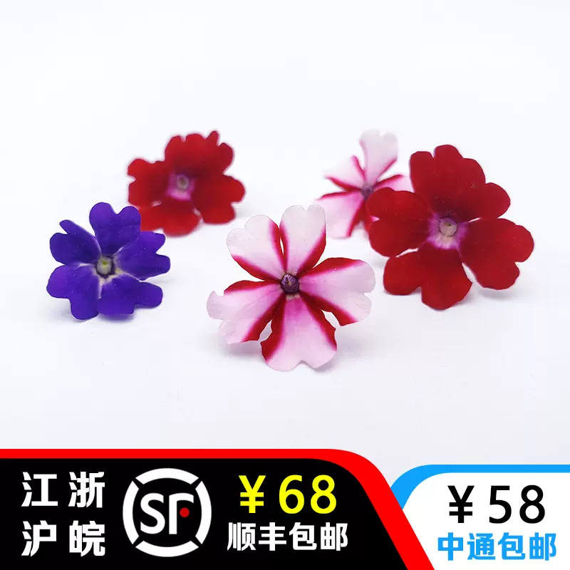 新鲜苜蓿芽西蓝花芽珊瑚芽紫甘蓝芽混合装饰摆盘15g日料西餐用 Taobao