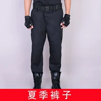 Летний стиль- (одиночные брюки)