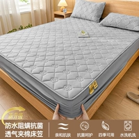 Камеллия водонепроницаемое покрытие грудь - высококачественная серая [водонепроницаемая и изоляция мочи + антибактериальная и грязная изоляция + промывание машины без лома + хорошая воздухопроницаемость]