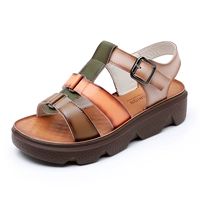 Оранжевый A61