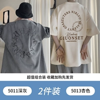 5011 Deep Grey +5013 Абрикосовый цвет