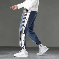 2031 Смог синий