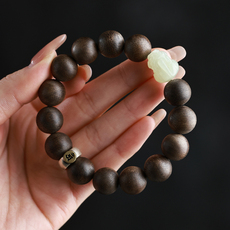 листья аквиларии