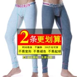Трендовое тонкое термобелье для школьников, эластичные сексуальные удерживающие тепло штаны, в обтяжку, облегающий крой