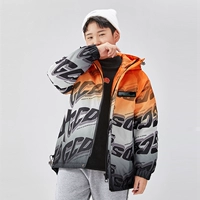 Пуховик, градиент