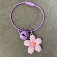 Фиолетовый вишневый цвет