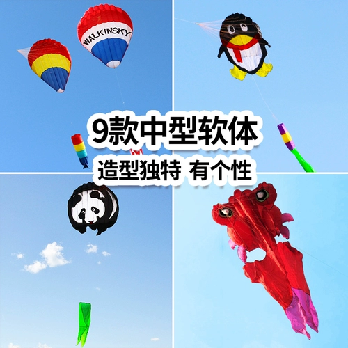 Профессиональный воздушный змей для взрослых, трехмерный воздушный шар, новая коллекция