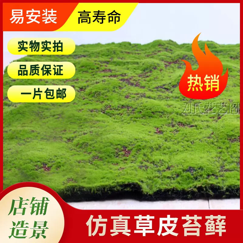 仿真青苔藓店铺造景绿植人造假草皮假苔草微景观橱窗盆景墙面装饰