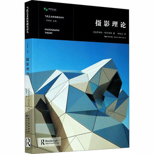 現代美術の世界研究 翻訳コレクション 写真理論 ジェームズ・エルキンス 新華書店 本物の本 湖北省美術出版社