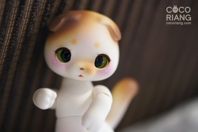 taobao agent [Moco Tong] Cat and Cat Pet 12 points 1/12 bjd doll Cocoriang