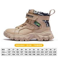 BMDX88445 Paste Paste Peord