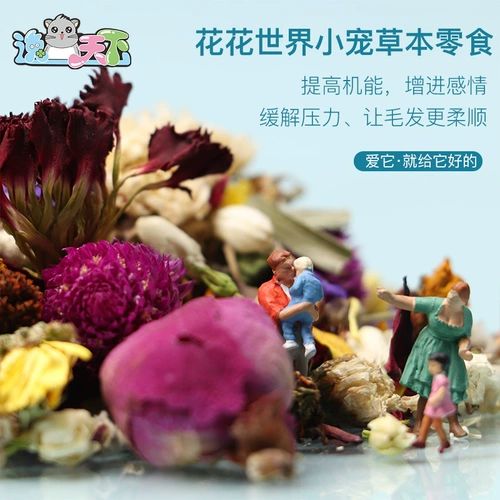 [Новый продукт] Huahua World Nutrition Pet Bunny Totoro Totoro, Dolphin Mouse Flower Food and Food, регулируют усиление желудочно -кишечного тракта и желудка