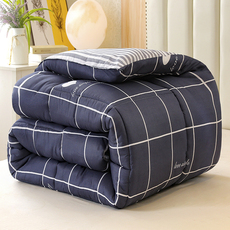 Химические волокна 加厚保暖冬被被芯单人大学生宿舍被子全套春秋被化纤棉被空调被夏 Jifanpaul