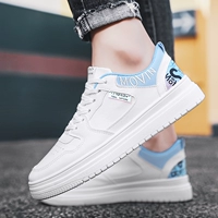 Q8203 Белый и синий