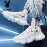 Playboy, демисезонная спортивная дышащая трендовая универсальная повседневная обувь для отдыха, сезон осень 2023, в корейском стиле