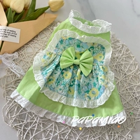 Костюм горничной [Ограниченное сериал зеленый линглан]