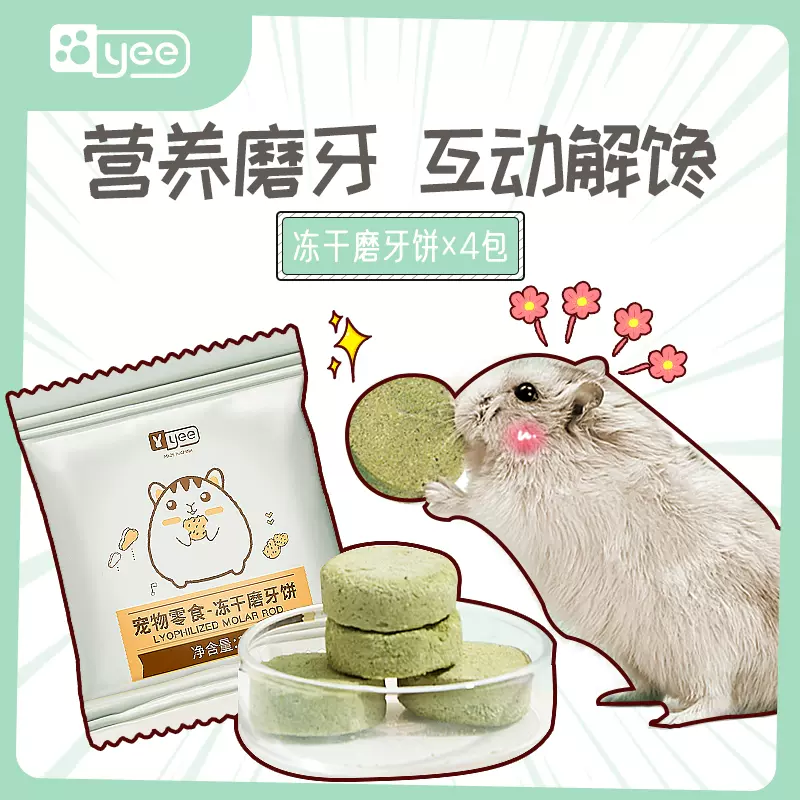 仓鼠夏天降温用品笼子家具金丝熊花枝鼠玩具造景套装陶瓷冰窝小屋