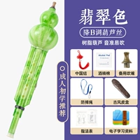 Emerald Color Drop B Tuned Set Meal Three