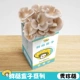 1 Xiuzhen Mushroom Groom Box (купить 1 Get 1 Get 1)