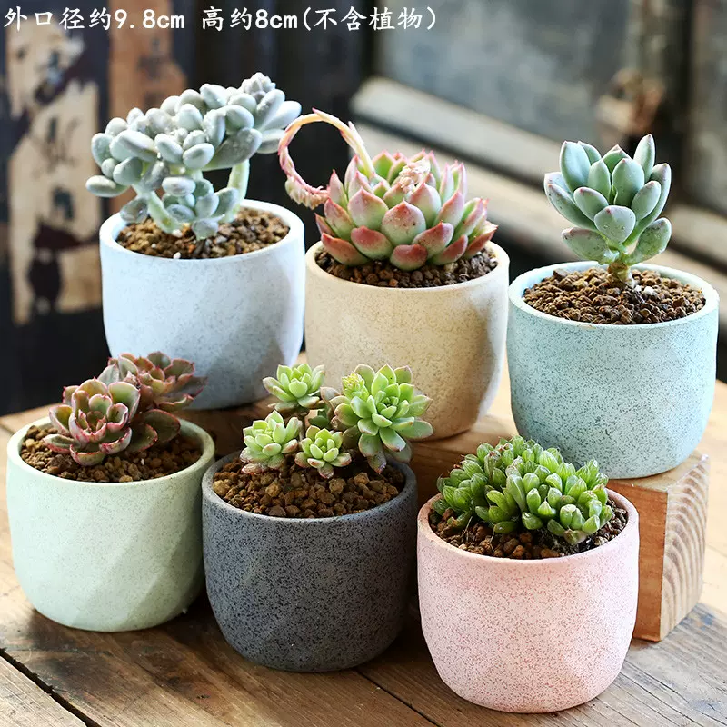 知福宝少女心系列粉色花盆手绘多肉花盆多肉植物容器陶瓷绿植花器 知福宝少女心系列粉色花盆手绘多肉花盆多肉植物容器陶瓷绿植花器