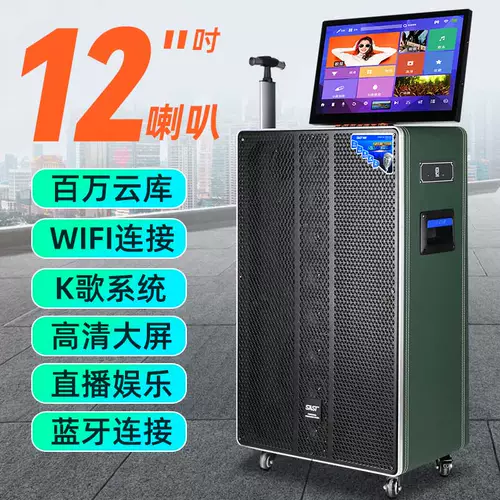 Экран, дорожный чемодан, танцующий микрофон, колонки, bluetooth