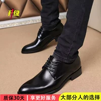 Модель кожи черного света (30 дней гарантии на модернизацию)