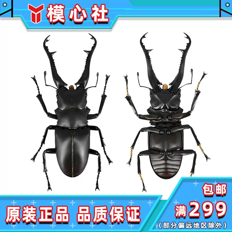 Hailitang Revoltech Geo