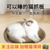 Товары от 狼骑士宠物用品旗舰店