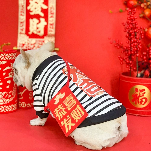 Fasun Douyou Puppy Новый год осень и зимний борьба с бычьи собака Новогоднего дворца Pets Newgt Newge.