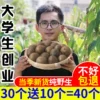 Товары от 东江缘