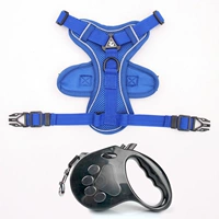 Синий, базовый, 5м