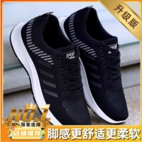 【Укрепление обновления】 226 Black