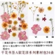 Модели материалов серии цветочных поля упаковки 24 цветов