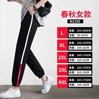 【Весна и осенний период】 B2105