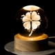 Crystal 60 Clover [Clover [Подача в подарочной коробке с теплым светом и круглой деревянной дровяной коробкой]