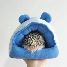 Гнездо, домик