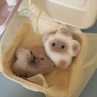 Скрип кабара+сиамская кошка