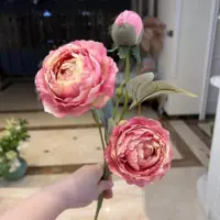 Мелкий фиолетовый