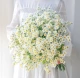 Coco Chrysanthemum White 5 установлен