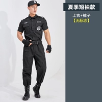 Футболка, штаны, короткий рукав